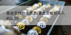 基金定投什么意思(基金定投和买入的区别)